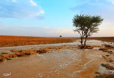 صورة مصغرة 2