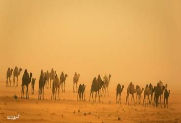 صورة مصغرة 2