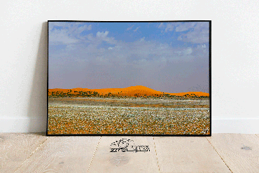 صورة مصغرة 1