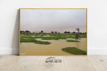 صورة مصغرة 3