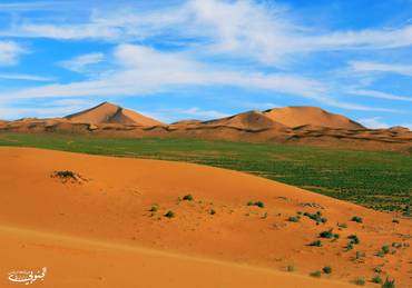 صورة مصغرة 2