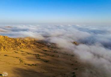 صورة مصغرة 2