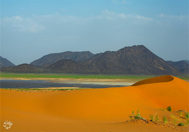 صورة مصغرة 2