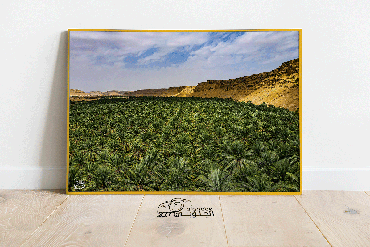 صورة مصغرة 3