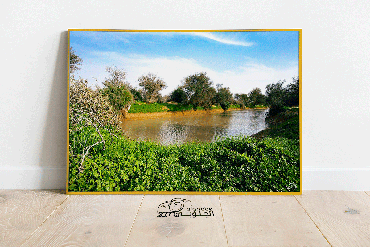 صورة مصغرة 3