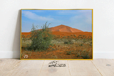 صورة مصغرة 3