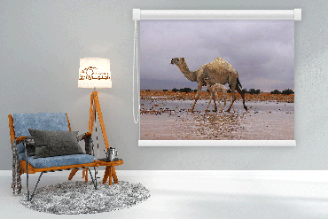صورة مصغرة 1