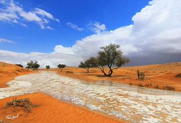 صورة مصغرة 2