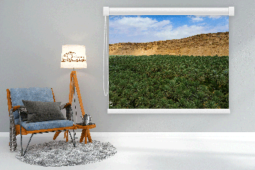 صورة مصغرة 1