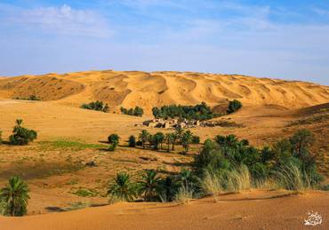 صورة مصغرة 2