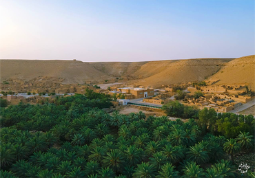 صورة مصغرة 2