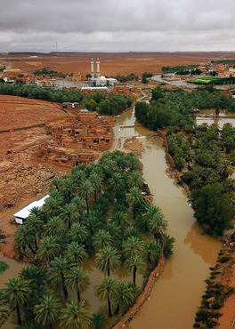 صورة مصغرة 2