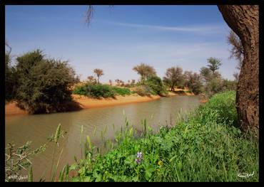 صورة مصغرة 2