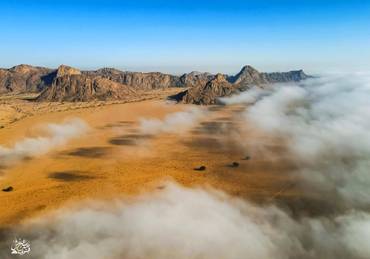 صورة مصغرة 2