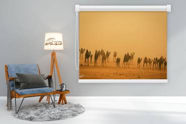 صورة مصغرة 1