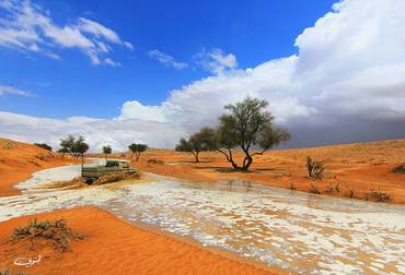 صورة مصغرة 2