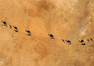 صورة مصغرة 2