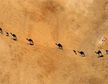 صورة مصغرة 2