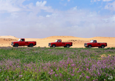 صورة مصغرة 2