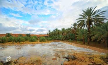 صورة مصغرة 2
