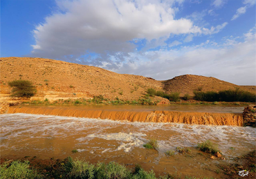 صورة مصغرة 2
