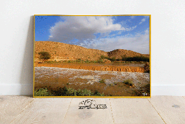 صورة مصغرة 3