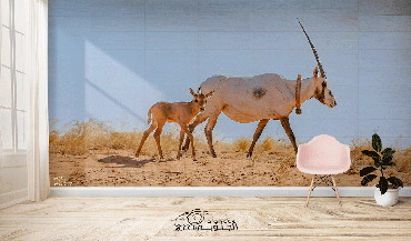 صورة مصغرة 1