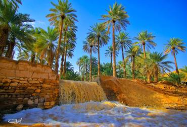 صورة مصغرة 2