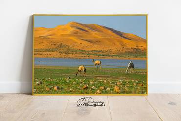 صورة مصغرة 2