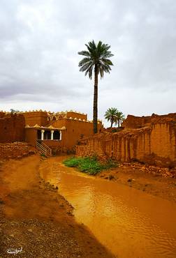 صورة مصغرة 2