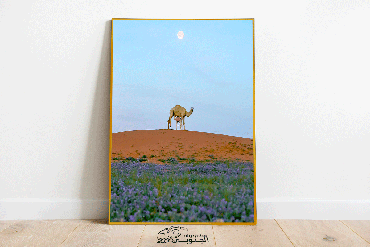 صورة مصغرة 3