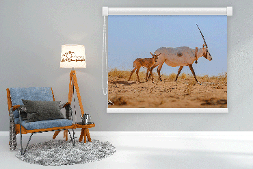 صورة مصغرة 1