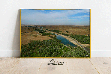 صورة مصغرة 3