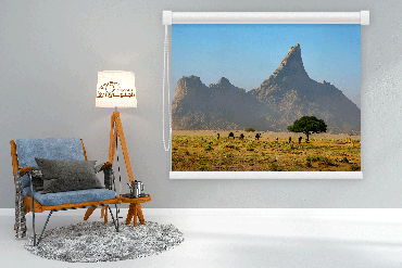صورة مصغرة 1