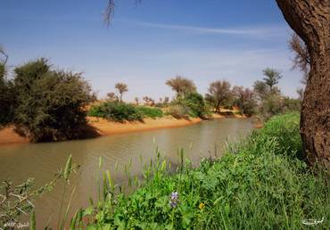 صورة مصغرة 2