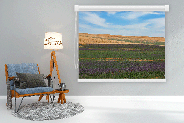 صورة مصغرة 1