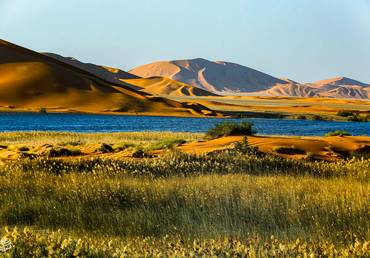 صورة مصغرة 2