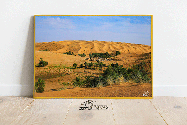 صورة مصغرة 3