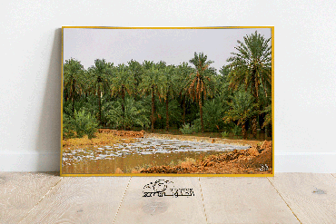 صورة مصغرة 3