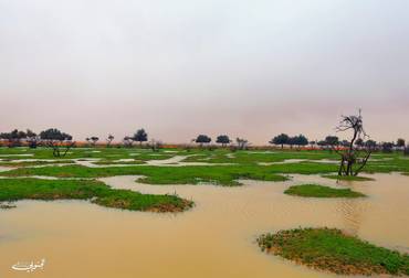 صورة مصغرة 2