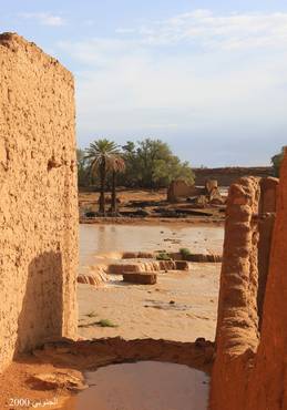 صورة مصغرة 2