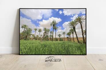 صورة مصغرة 1