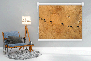 صورة مصغرة 1