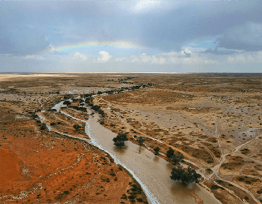 صورة مصغرة 2