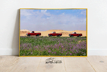 صورة مصغرة 3