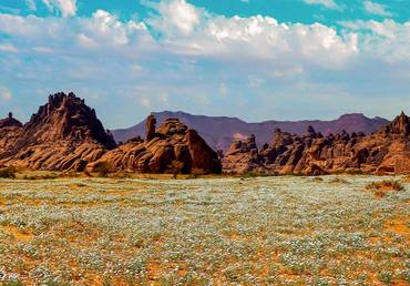 صورة مصغرة 2