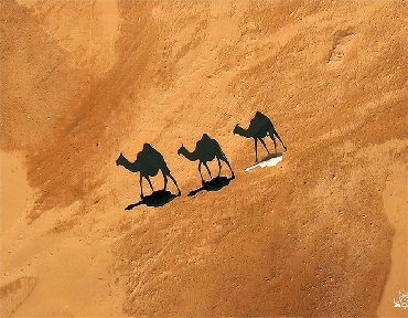 صورة مصغرة 2