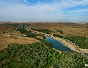 صورة مصغرة 2