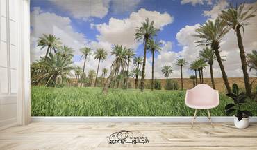 صورة مصغرة 1
