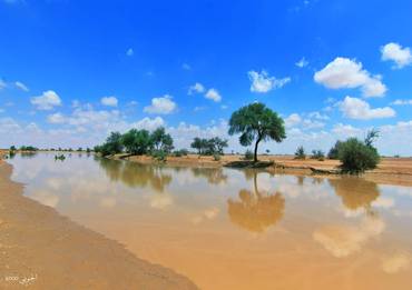 صورة مصغرة 2